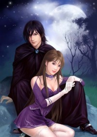 暗影统领的公主妻